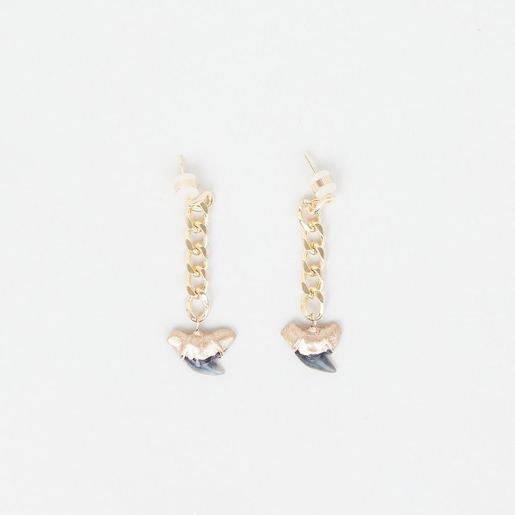 Gold Tip Fossil Tiger Shark Tooth Drop Earrings