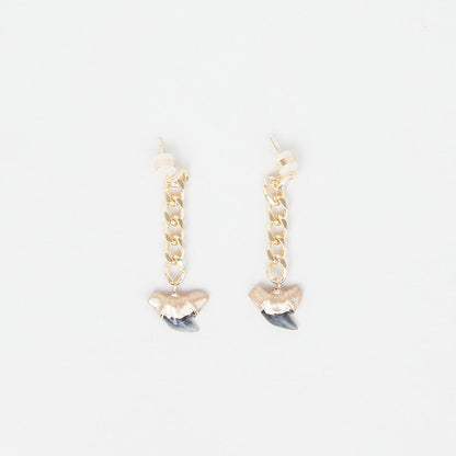 Gold Tip Fossil Tiger Shark Tooth Drop Earrings