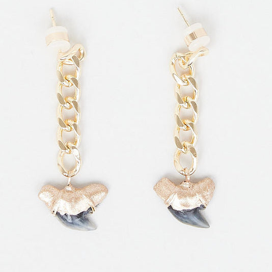 Gold Shark tooth fossil chain earrings with real fossilized tiger shark tooth charms on a white background