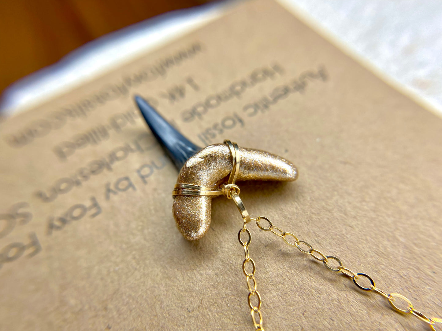 Fossil Sand Tiger Shark Tooth Pendant—Authentic Fossil