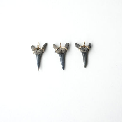 Real fossil shark tooth pendants 
