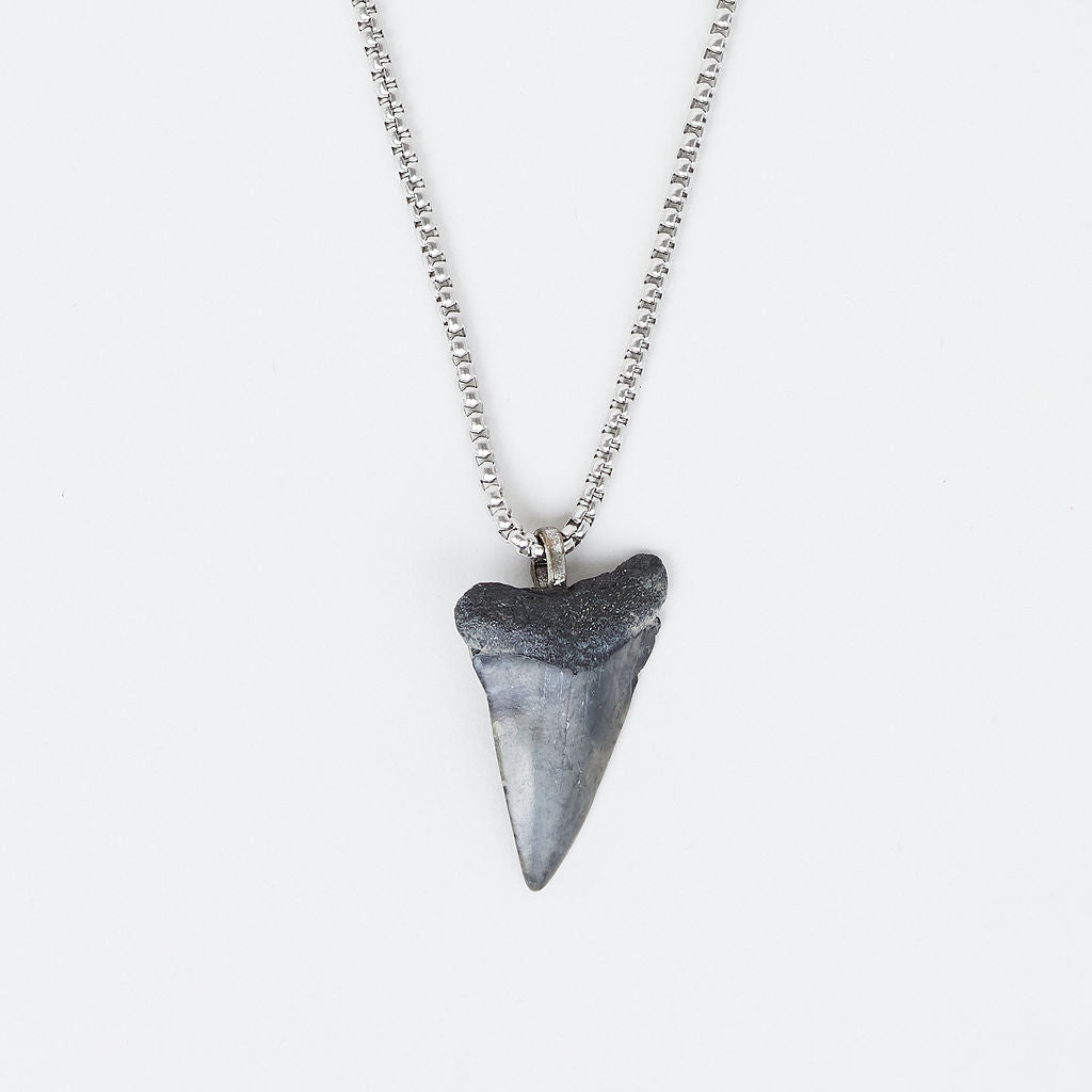 Men’s Real Fossil Mako Shark Tooth Necklace