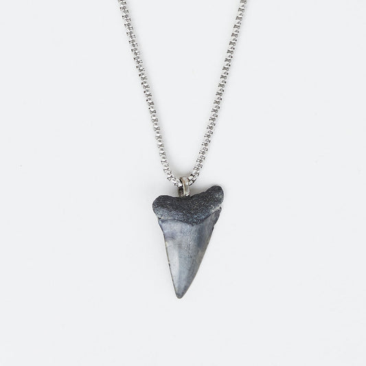Men’s Real Fossil Mako Shark Tooth Necklace