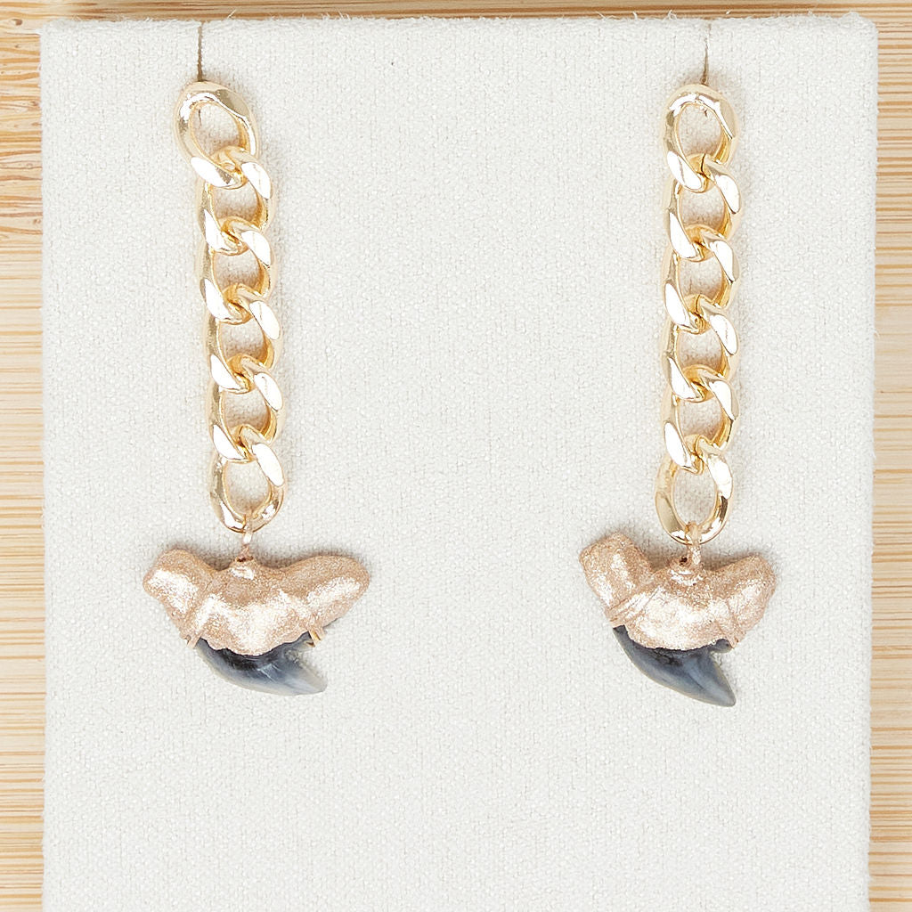 Gold Tip Fossil Tiger Shark Tooth Drop Earrings