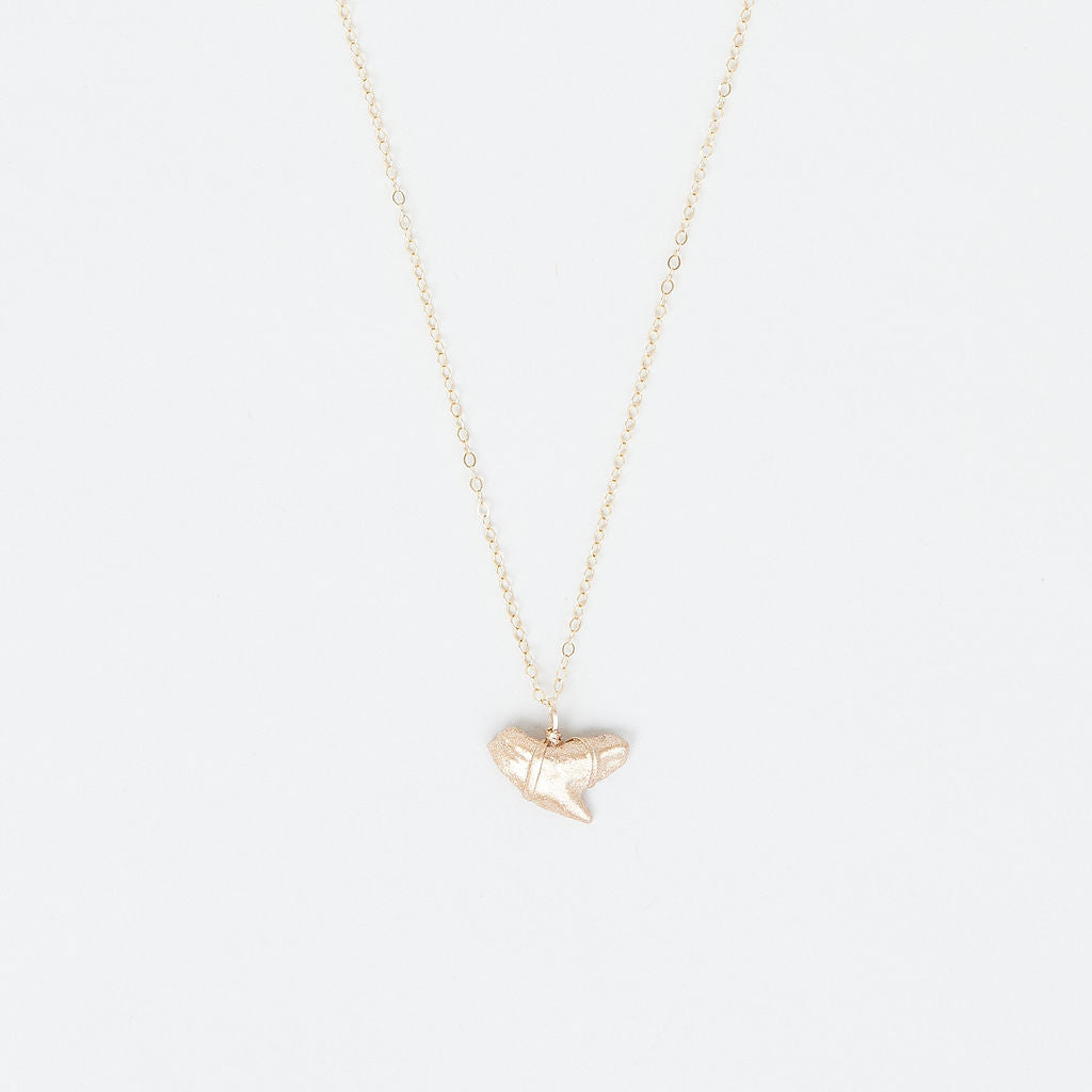 Gold Tiger Shark Tooth Pendant — Shark Tooth Necklace | Foxy Fossils