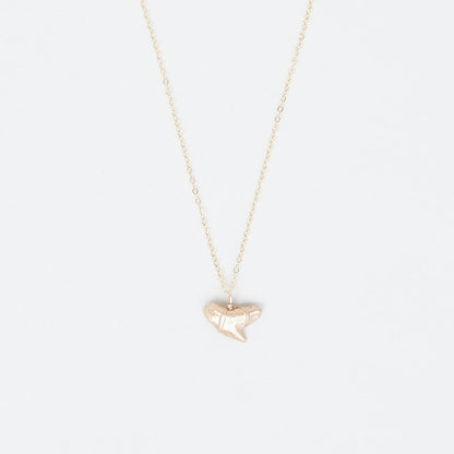 Gold Tiger Shark Tooth Pendant — Shark Tooth Necklace | Foxy Fossils