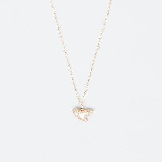 Gold Tiger Shark Tooth Pendant — Shark Tooth Necklace | Foxy Fossils