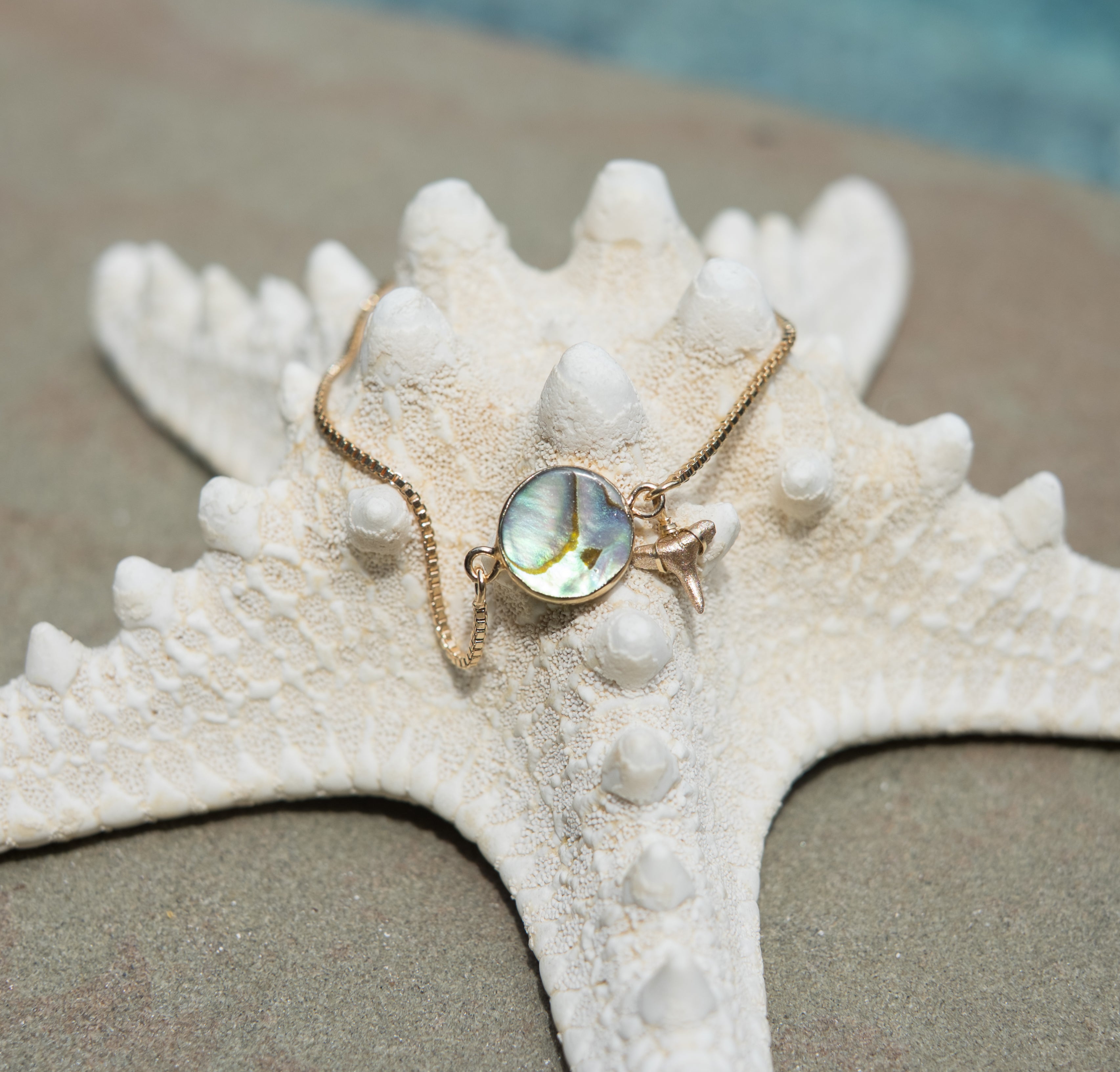 Gold Shark Tooth Fossil & Abalone Bracelet — Adjustable | Foxy Fossils