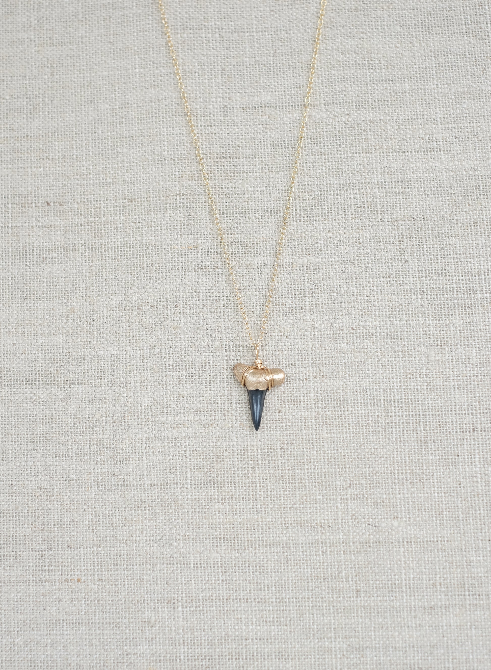 Gold-Tip Shark Tooth Necklace - Foxy Fossils