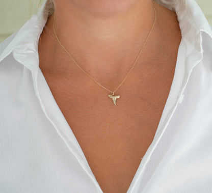 Gold-shark-tooth-necklace-real-fossil-shark-tooth-14-kt-gold-filled-chain