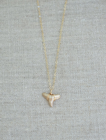 Drop of Gold - Foxy Fossils real fossilized shark tooth pendant wire wrapped gold on gold chain