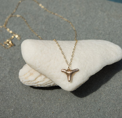 real shark tooth necklace gold fossilized pendant Drop of Gold - Foxy Fossils
