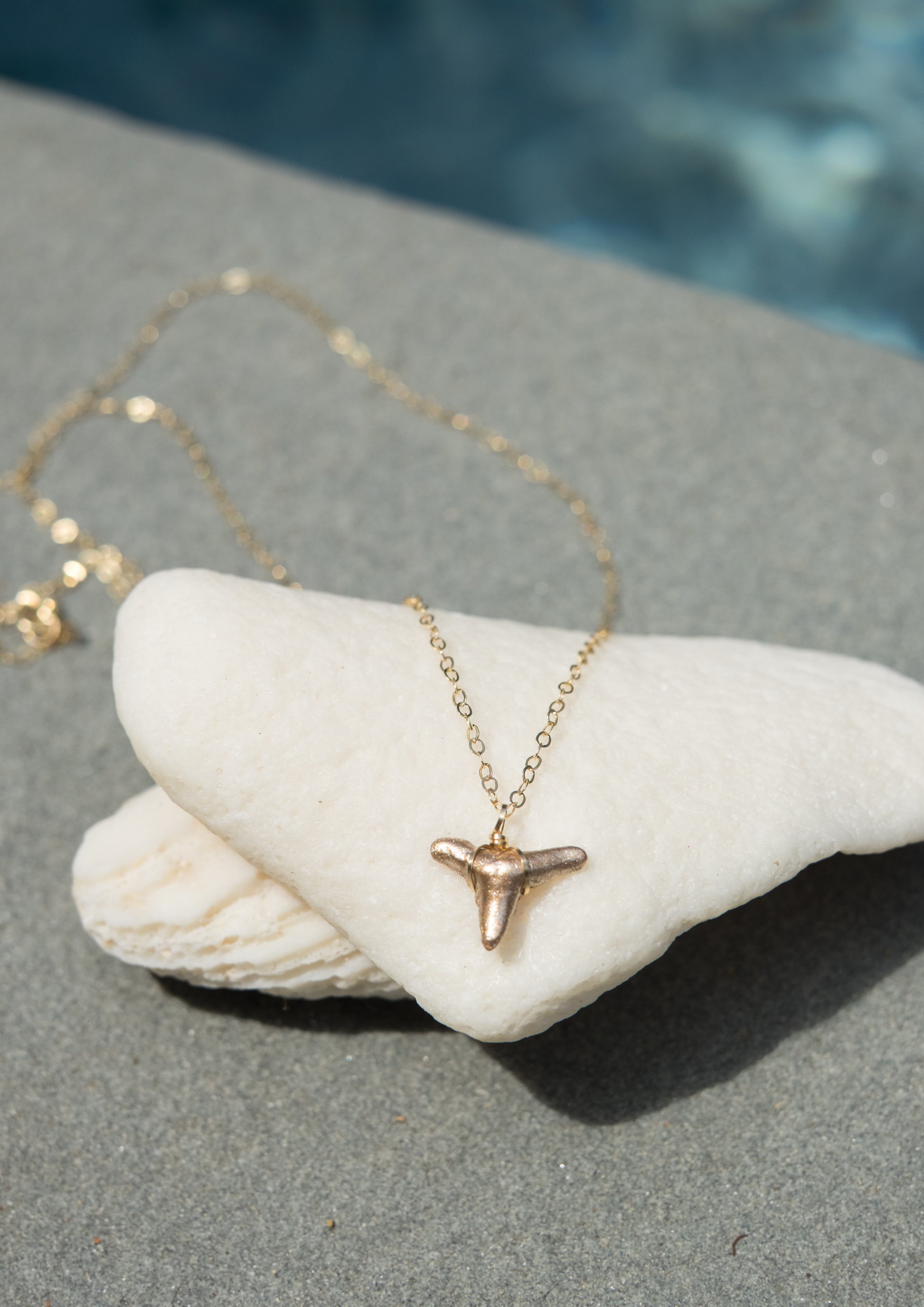 Drop of Gold shark tooth necklace dainty gold shark tooth necklace featuring real prehistoric fossil shark tooth ethically found - Foxy Fossils