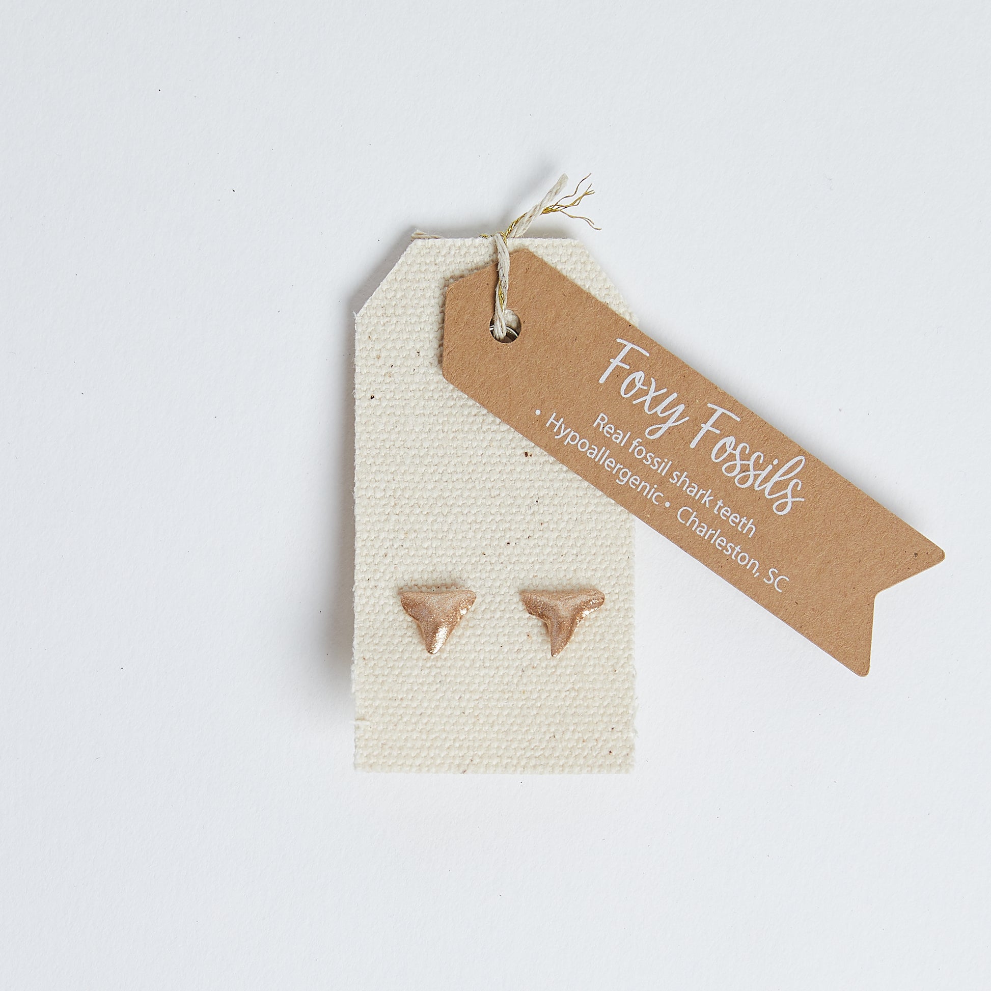 Gold Shark Tooth Stud Earrings | real shark tooth earrings gold- Foxy Fossils