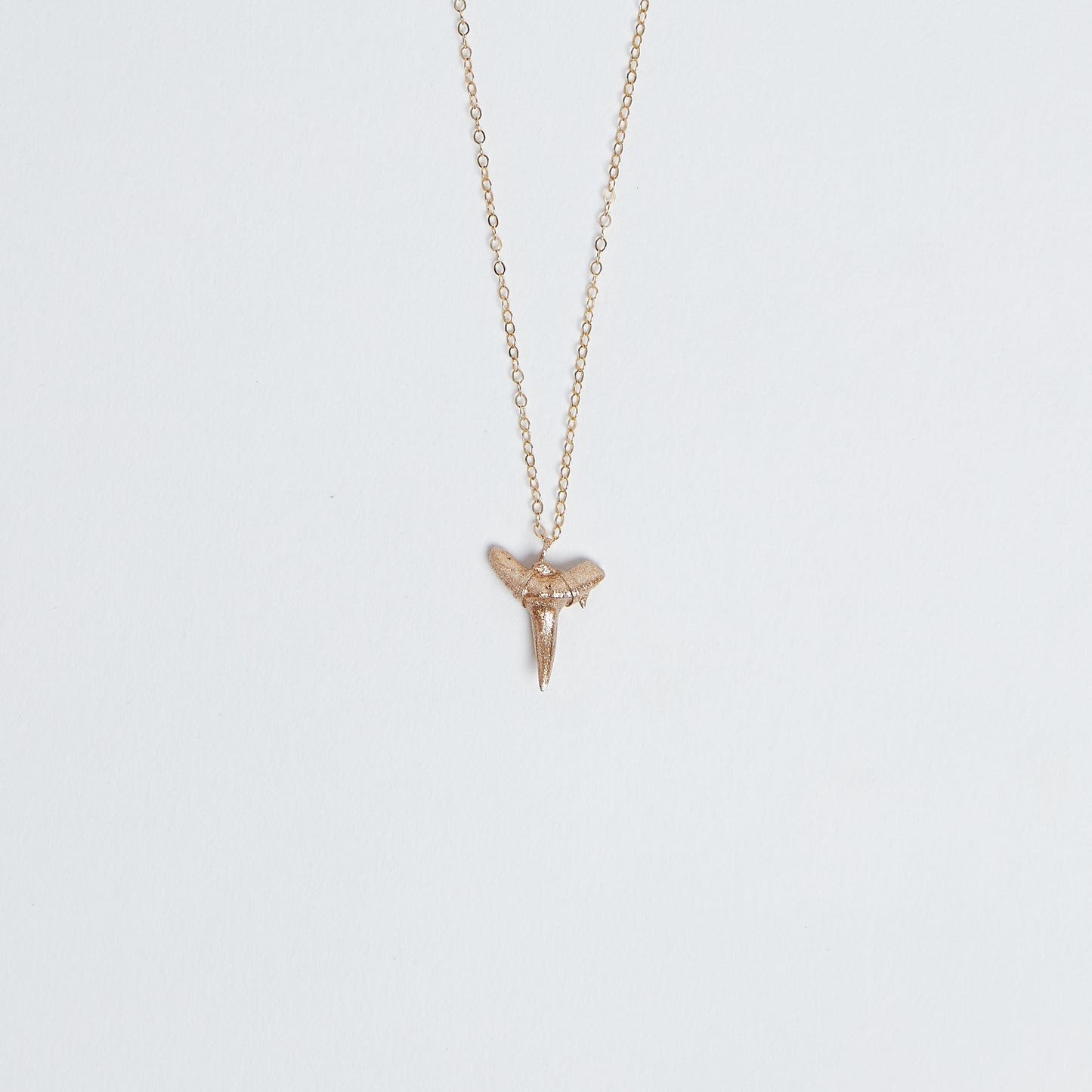 gold shark tooth pendant real fossil shark tooth necklace - Drop of Gold - Foxy Fossils