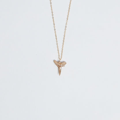 gold shark tooth pendant real fossil shark tooth necklace - Drop of Gold - Foxy Fossils