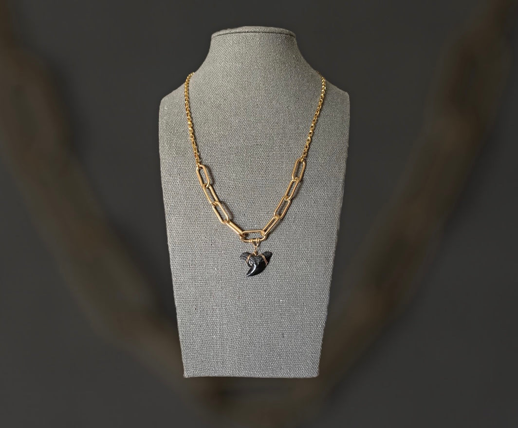 Fossil tiger shark tooth pendant necklace by Foxy Fossils 