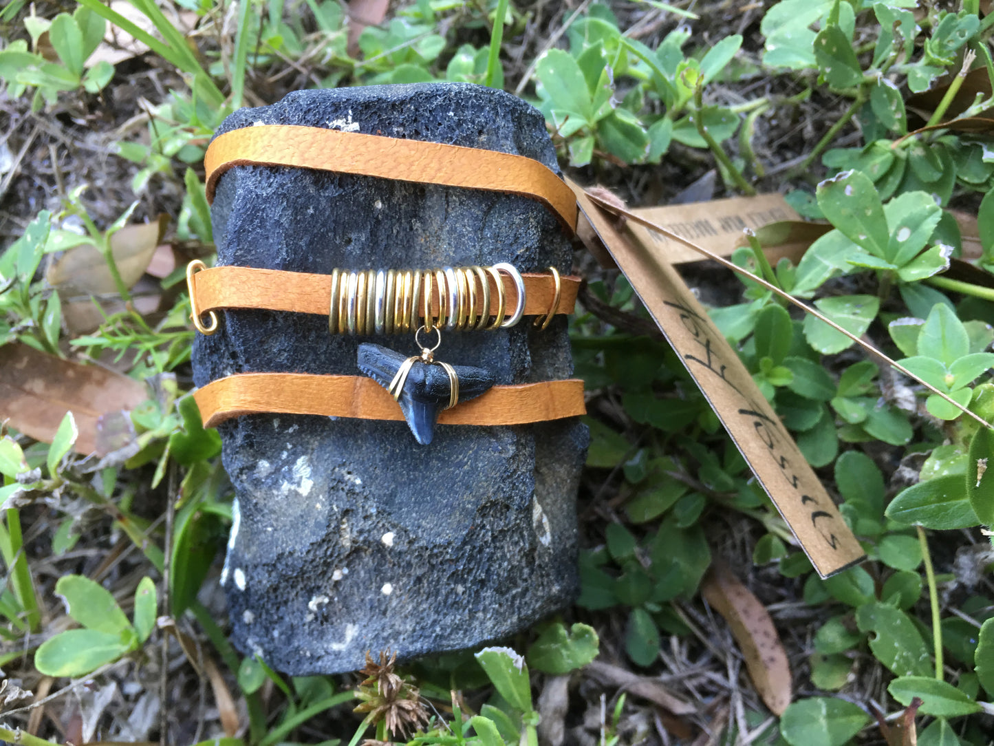 Leather Wrap Shark Tooth Bracelet - Foxy Fossils