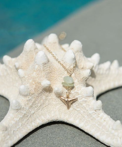 Of The Sea Necklace—new jade gold shark tooth necklace real - Foxy Fossils