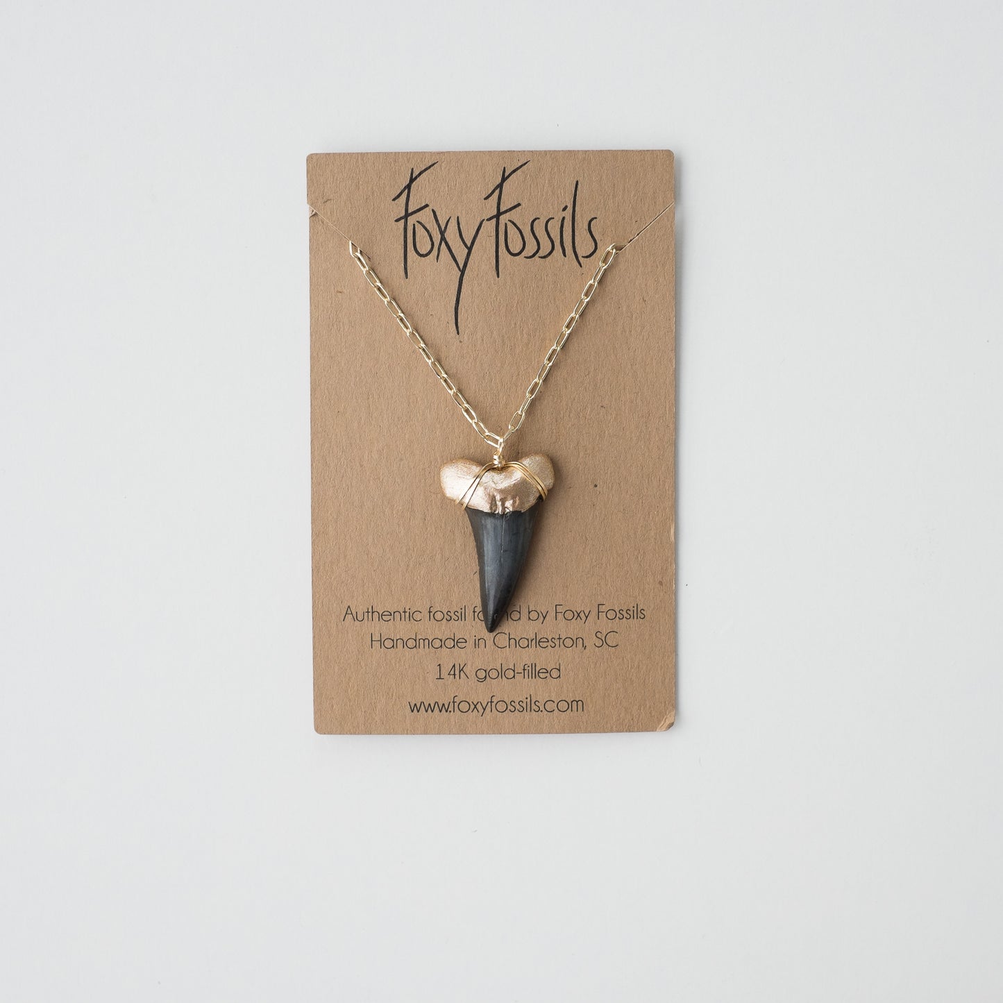 Large Gold Dipped Shark Tooth Necklace on Gold link Chain - authentic megalodon necklace - foxy Fossils