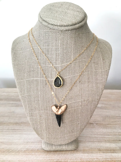 Midnight Harbor - Foxy Fossils