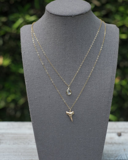 2 layer gold shark tooth necklace real fossil pendant Coastal Chic Custom - Foxy Fossils