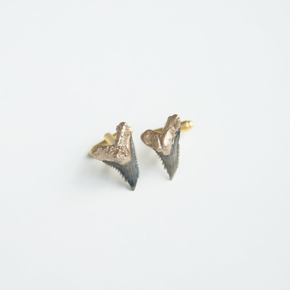 gold tip real shark tooth cufflinks