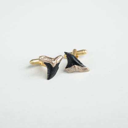 real shark tooth cufflinks; gold tip hemipristis serra snaggletooth shark tooth cufflinks