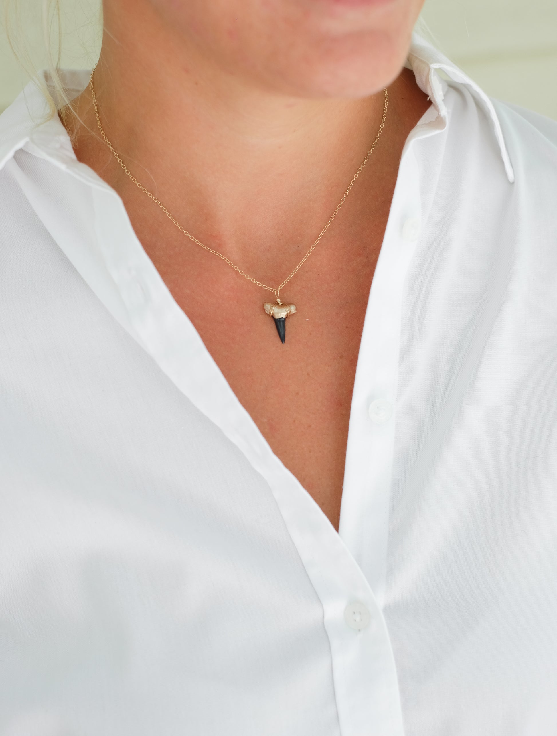 Gold Tip Shark Tooth Necklace — Real Shark Tooth Foxy Fossils