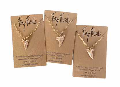 gold hemi shark tooth necklaces-authentic fossil snaggletooth shark teeth necklaces -ethical fossil jewelry-foxy fossils
