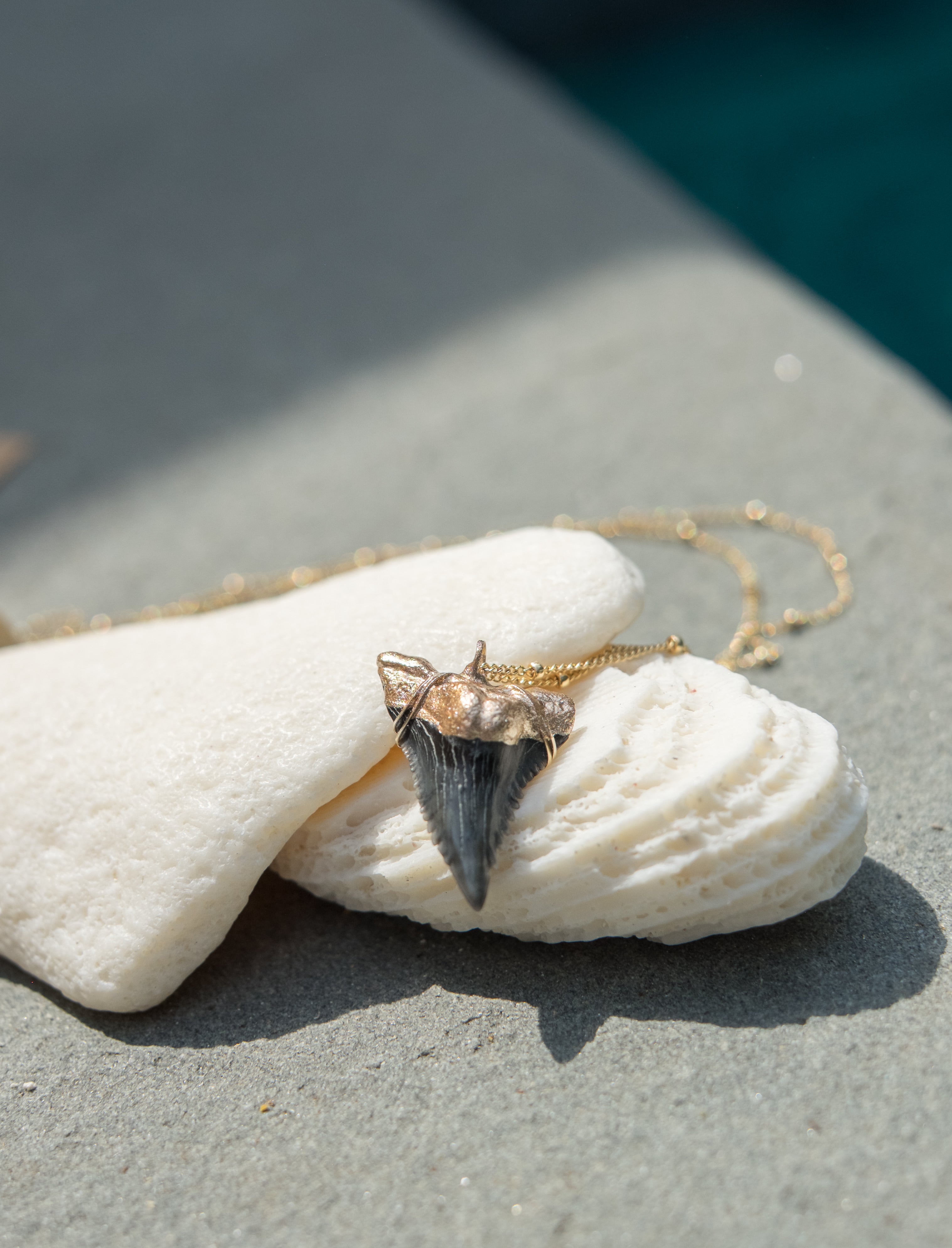 Cheap shark tooth on sale necklace