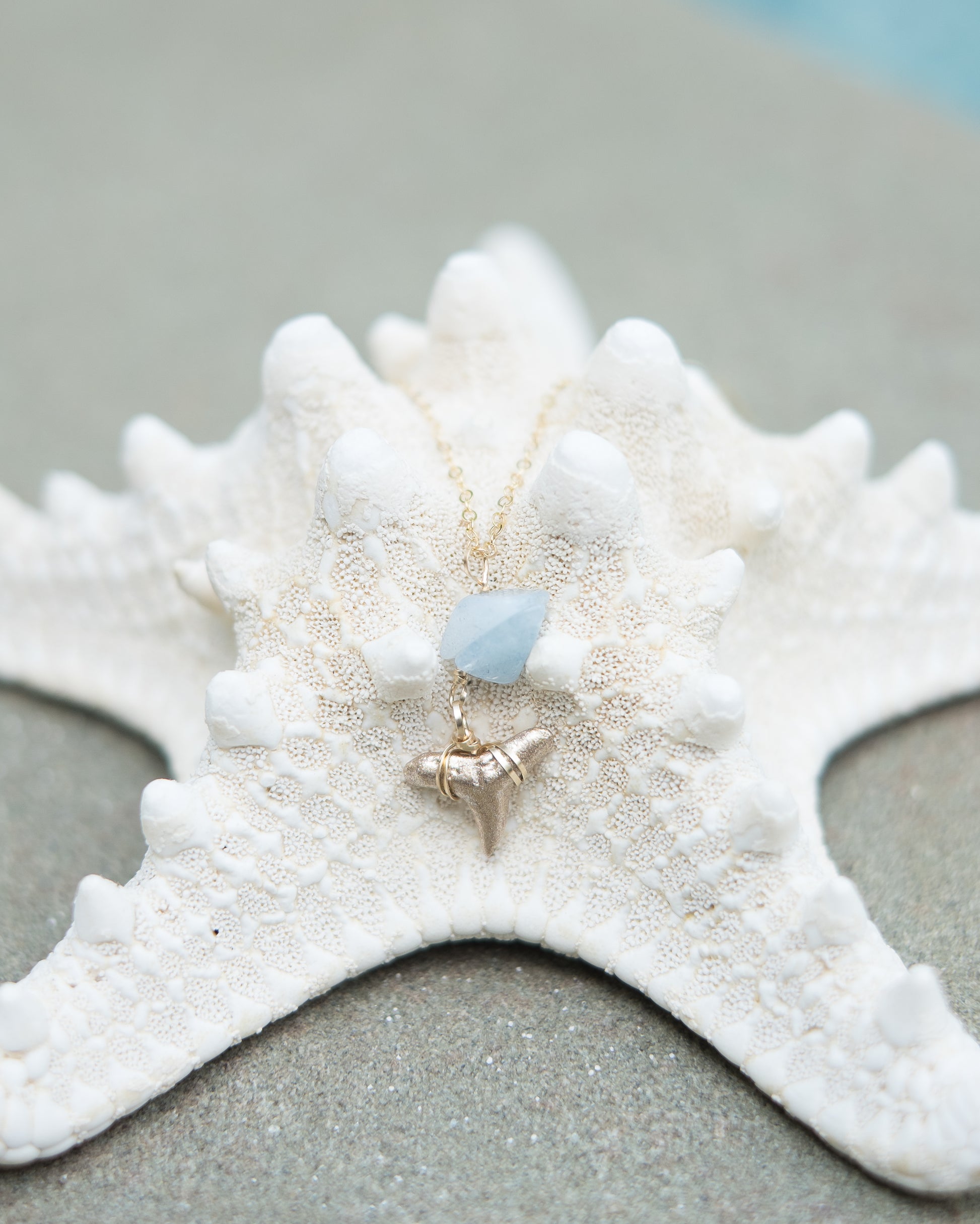 Of The Sea Necklace III - Foxy Fossils
