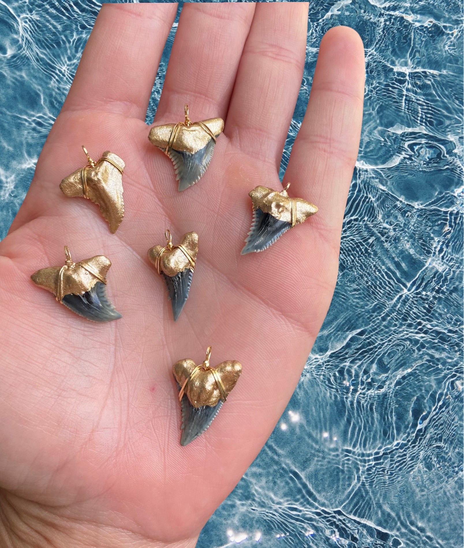 gold tip shark teeth pendants, real fossil shark tooth snaggletooth pendants, prehistoric shark teeth pendants, wire wrapped shark teeth - foxy fossils