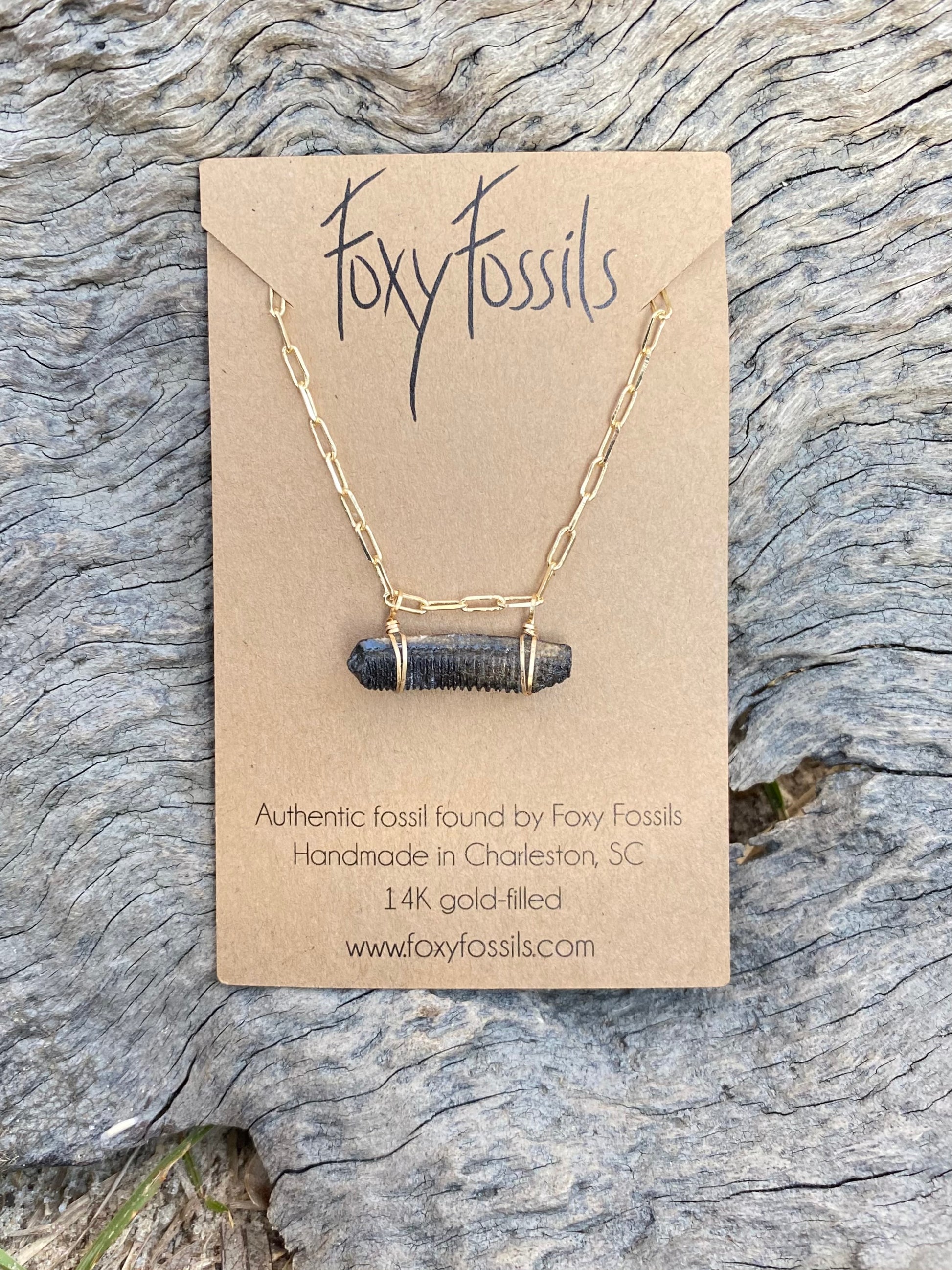 stingray necklace —fossilized stingray mouth plate bar style necklace on dainty link chain with 14kt gold filled wire—Foxy Fossils 