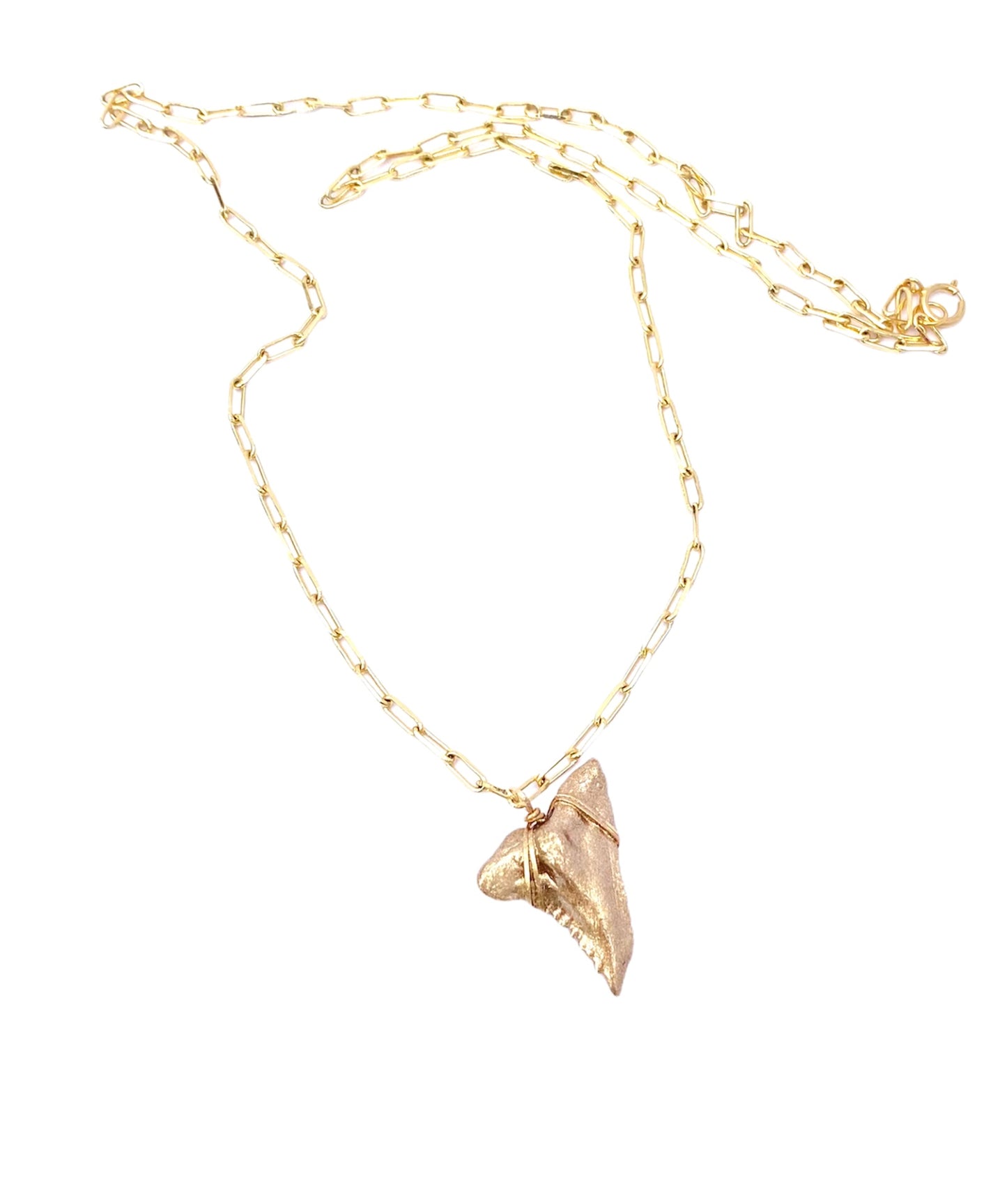 gold snaggletooth shark tooth necklace-hemi and her-fossil hemipristis necklace—Foxy Fossils 
