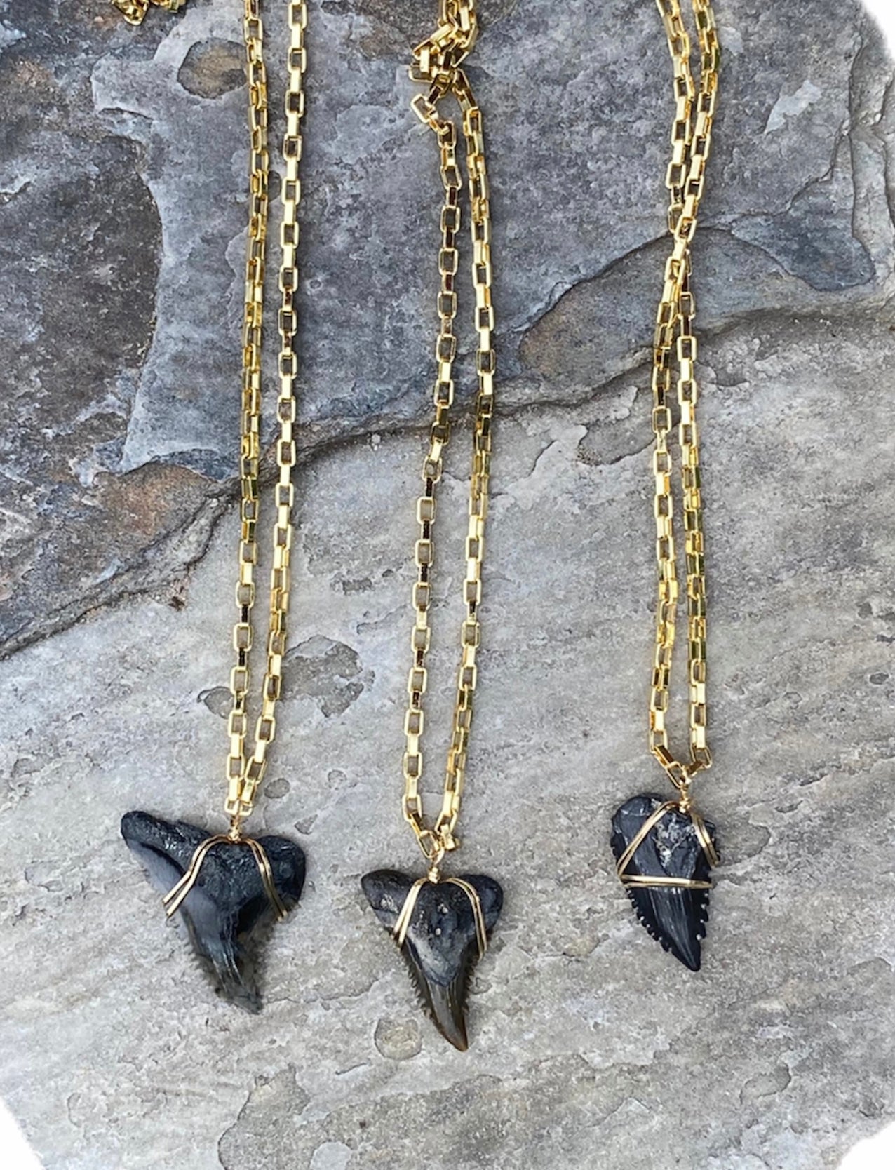 real fossil shark tooth necklaces for men-hemipristis serra snaggletooth pendant-Foxy Fossils 