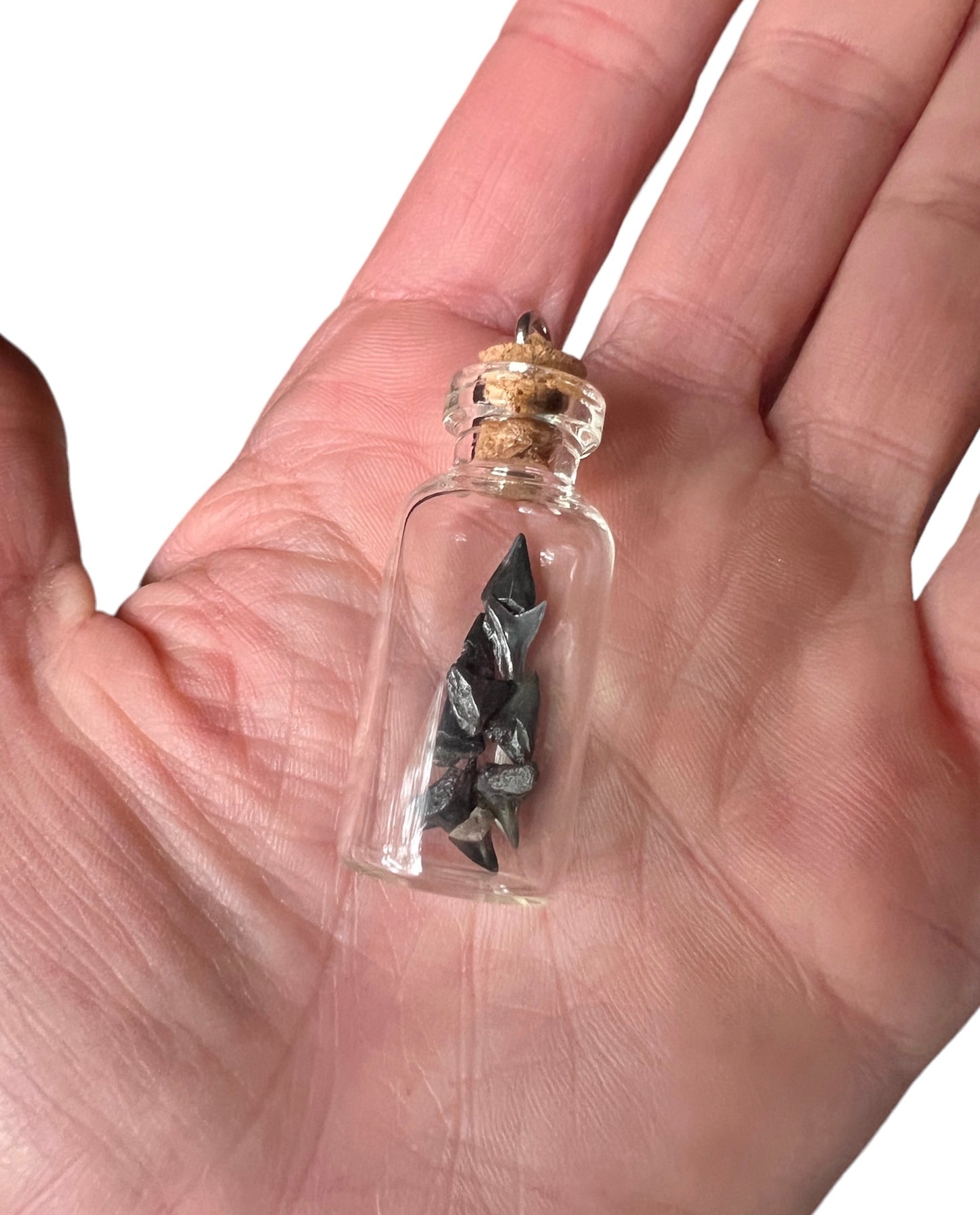 Tiny Fossil Shark Teeth in Glass Vial