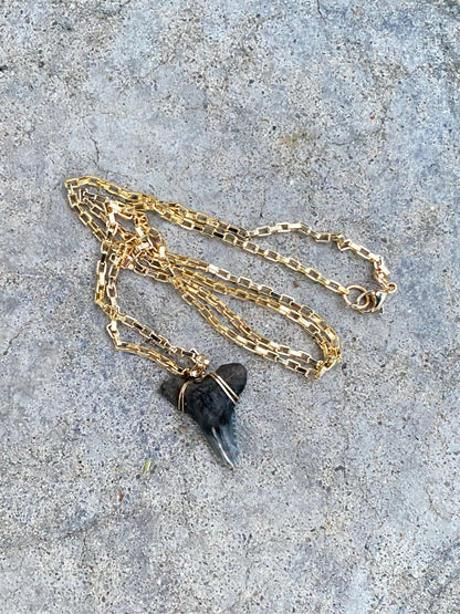 wire wrapped gold shark tooth necklace for men-luxury fossil jewelry-Foxy Fossils 
