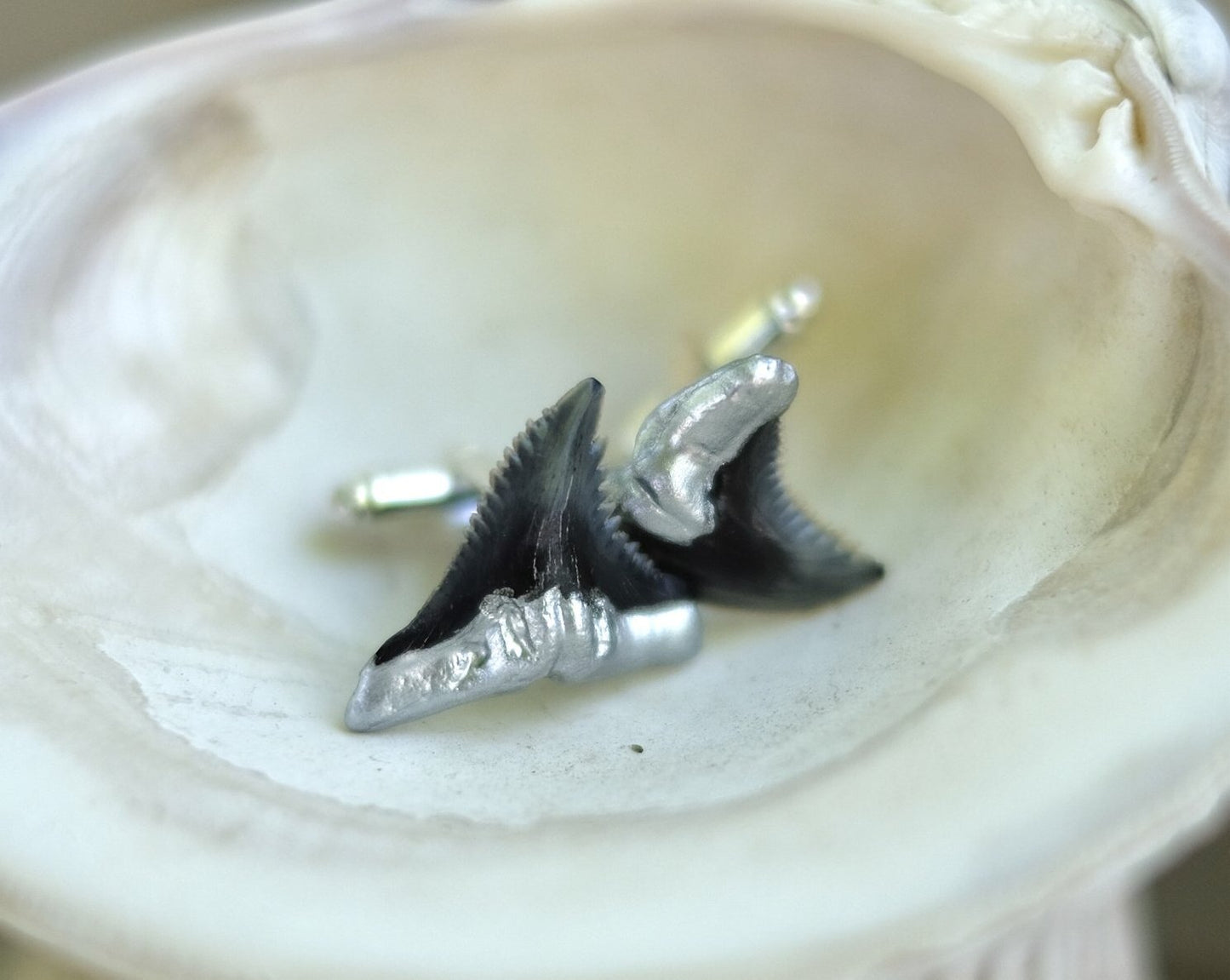 Shark Tooth Cufflinks - Silver - Foxy Fossils