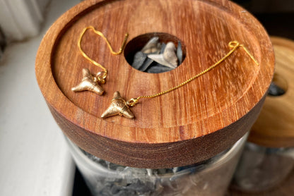 gold shark tooth threader earrings using real fossils ethically collected in Charleston SC by Foxy Fossils