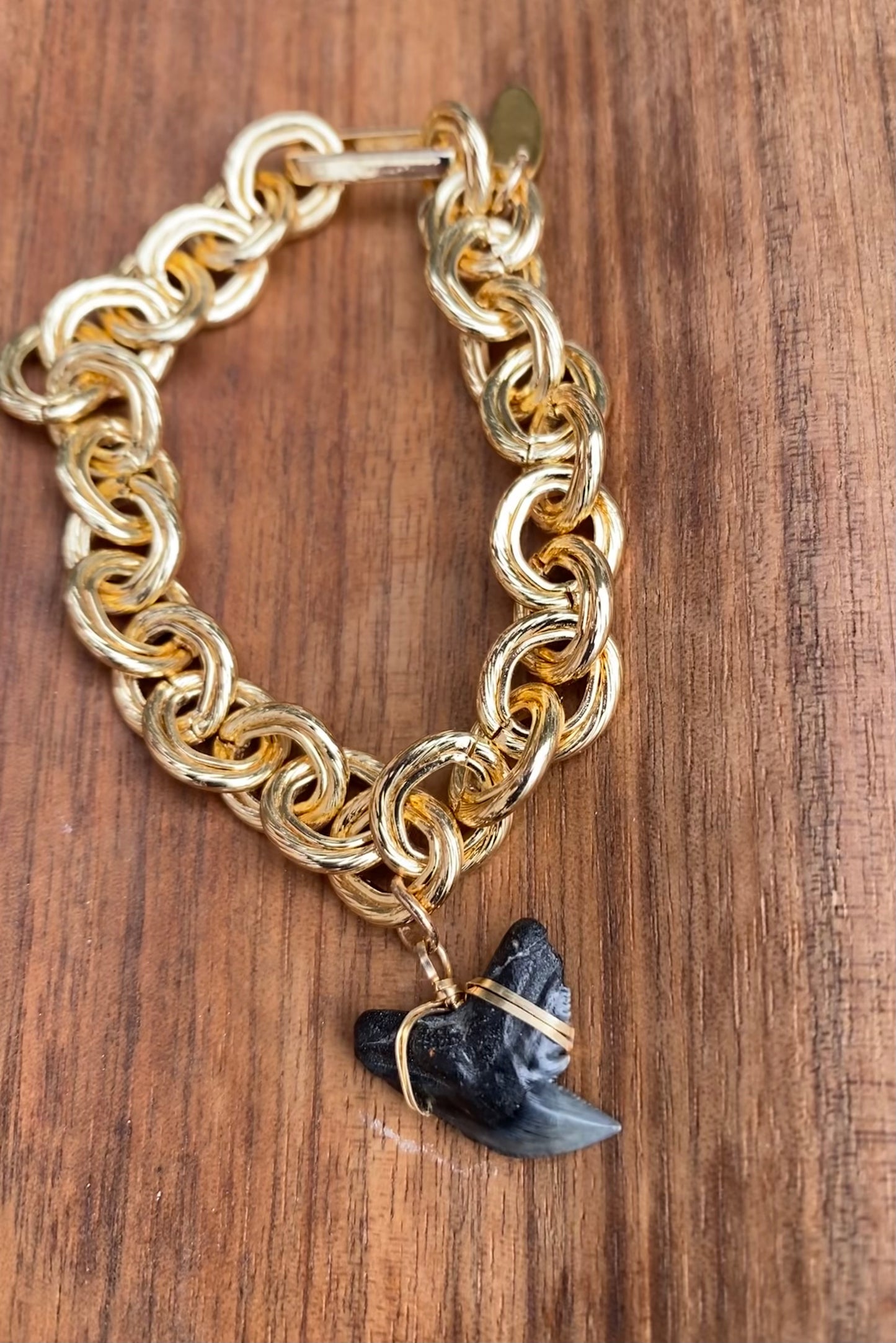fossil tiger shark tooth charm chunky gold chain bracelet foxy fossils
