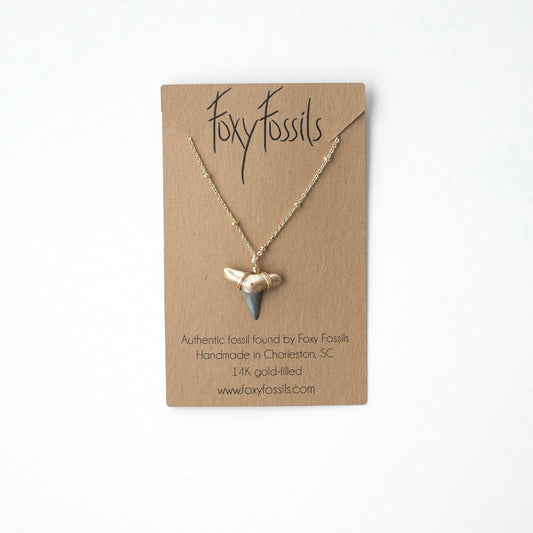 gold tip real shark tooth pendant on gold filled satellite chain necklace - foxy fossils