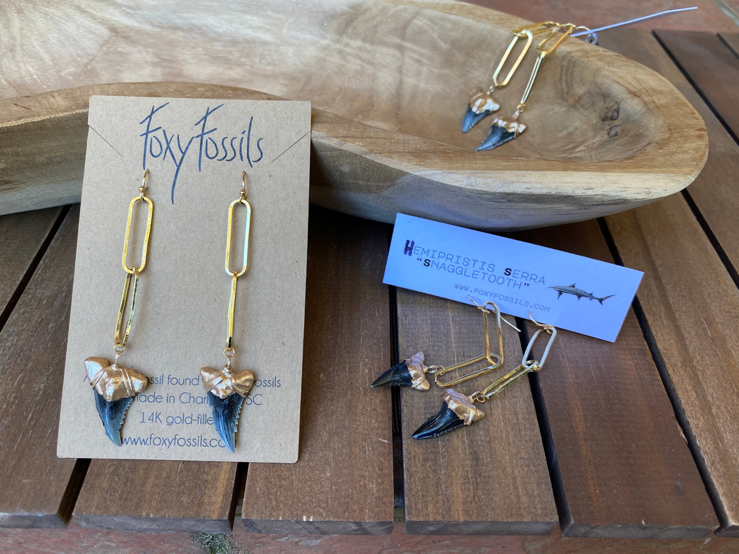 real shark tooth earrings gold tip snaggletooth shark teeth link earrings hemi and her by foxy fossils