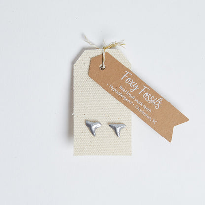 Silver Shark Tooth Stud Earrings - Foxy Fossils