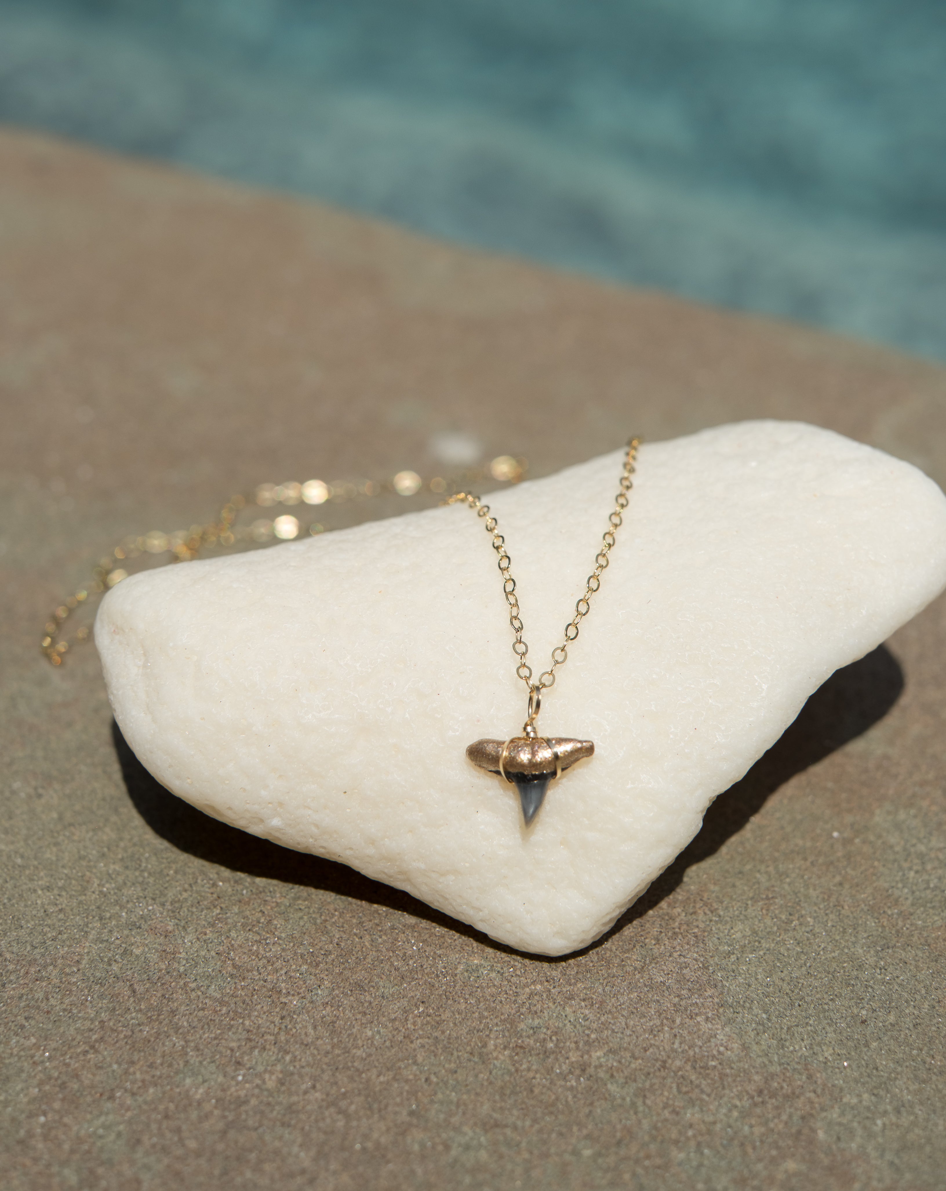 Murky Water Sharks Tooth Necklace – Charming Shark Retail
