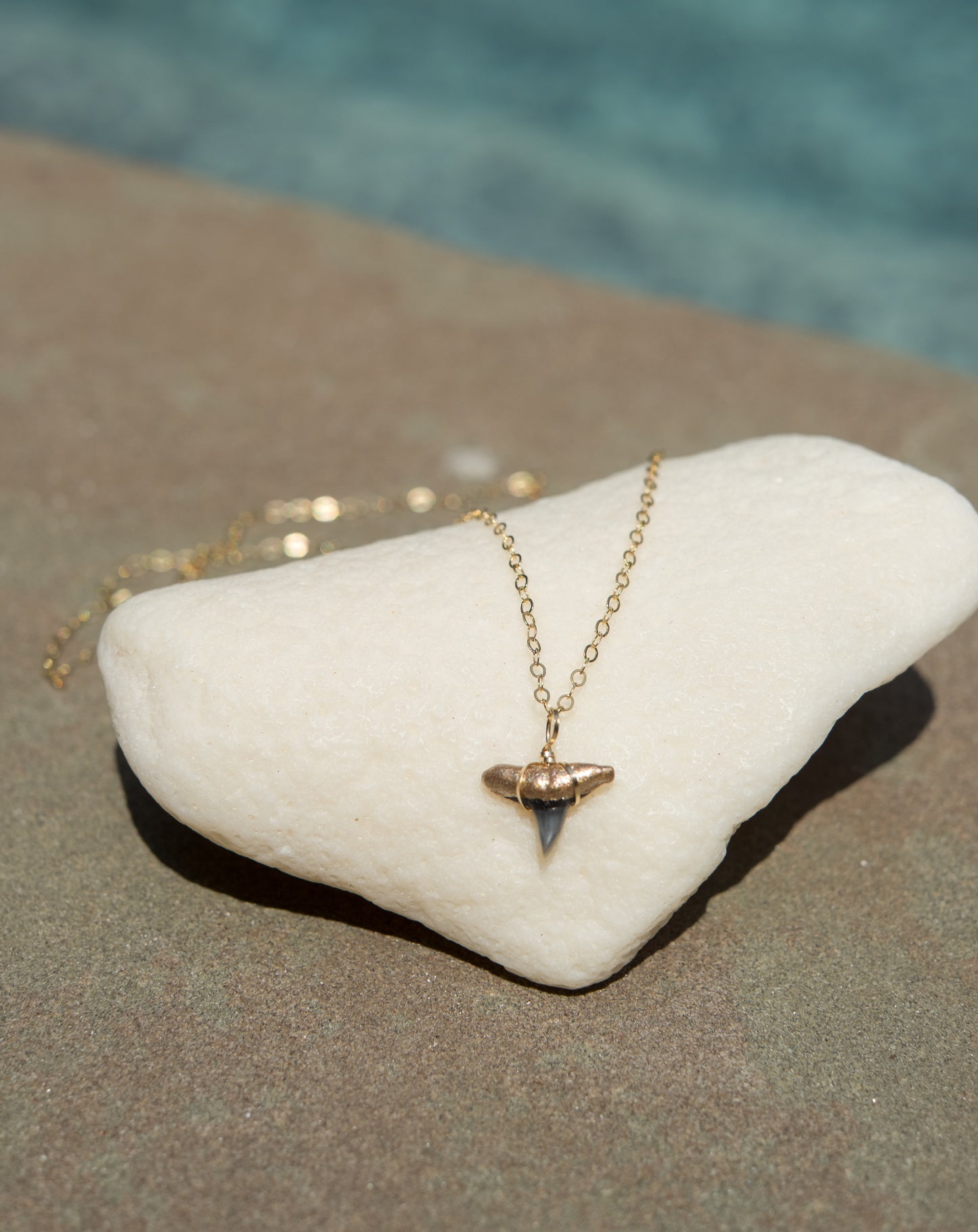 Gold-Tip Shark Tooth Necklace real shark tooth necklace gold tip shark tooth pendant real fossil jewelry - Foxy Fossils
