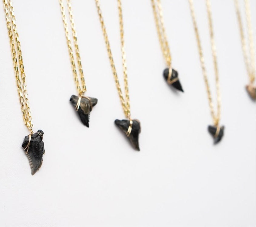 snaggletooth shark tooth necklaces for men - real fossilized hemipristis serra shark teeth necklace - foxy fossils