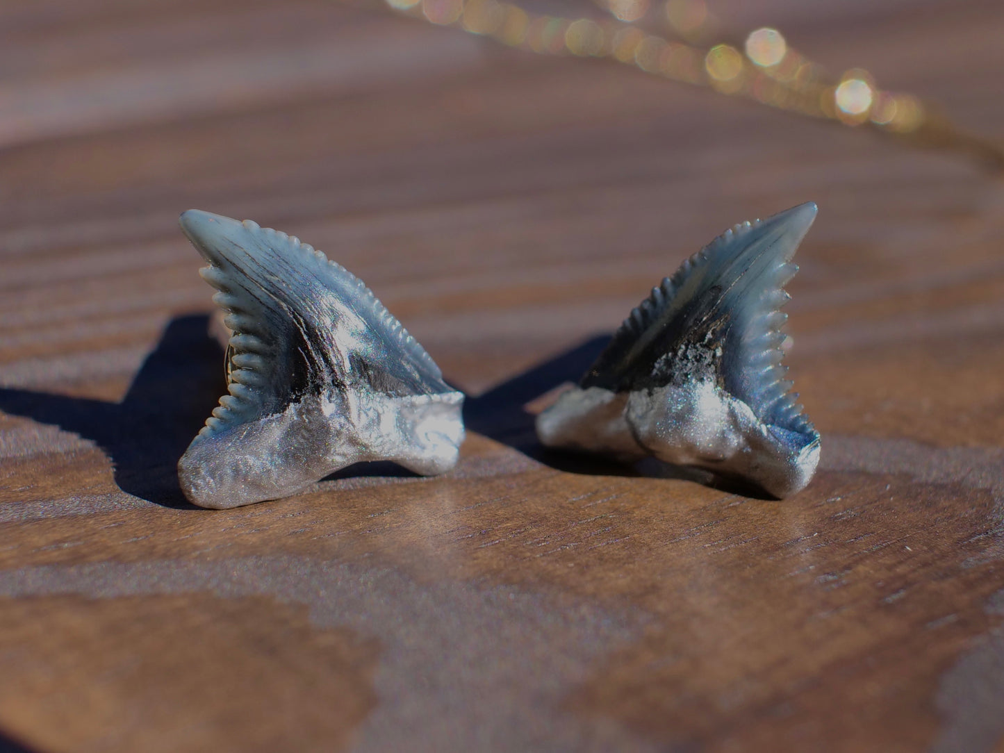 Men's Shark Tooth Cufflinks | Real Fossils — Foxy Fossils 