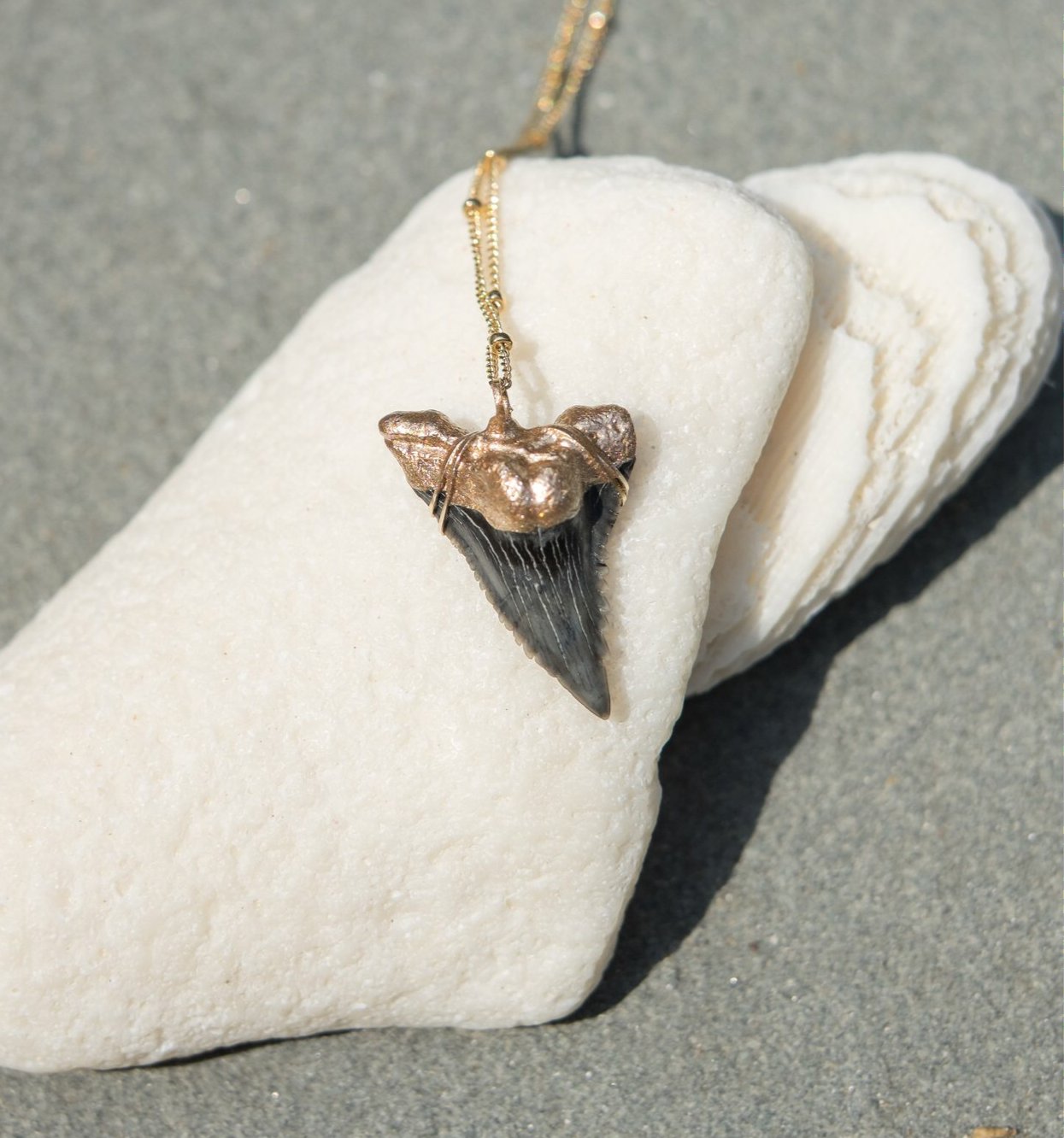 elegant shark tooth necklace with real shark tooth from snaggletooth hemi and her gold tip necklace on satellite chain close up —Foxy Fossils 