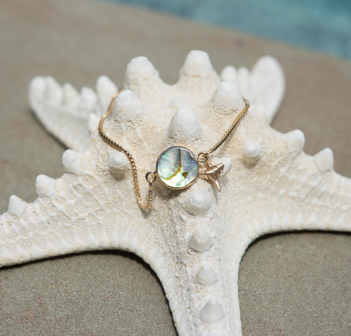 Abalone & Gold Shark Tooth Bracelet - Foxy Fossils